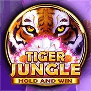Chương trình VIP May88 Casino